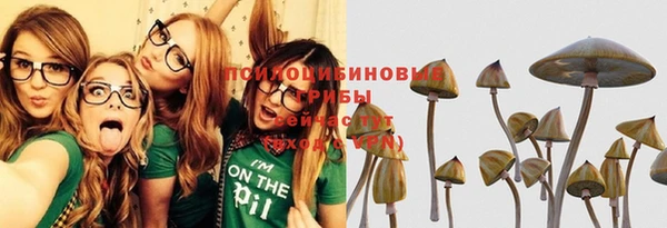 ГАЛЛЮЦИНОГЕННЫЕ ГРИБЫ Саяногорск