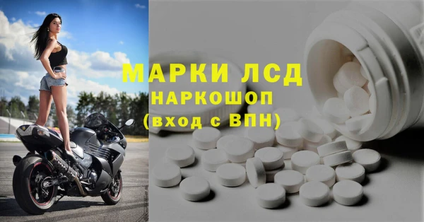 ГАЛЛЮЦИНОГЕННЫЕ ГРИБЫ Алзамай