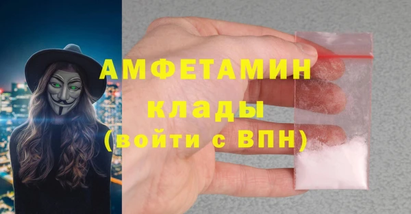 ГАЛЛЮЦИНОГЕННЫЕ ГРИБЫ Алзамай