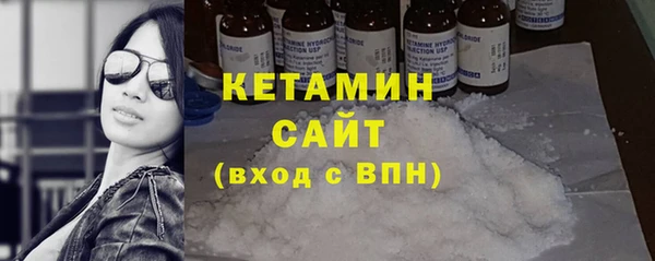гашик Алексин