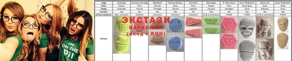 гашик Алексин