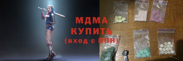 гашик Алексин