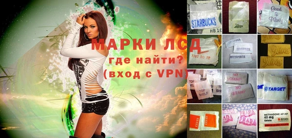 ГАЛЛЮЦИНОГЕННЫЕ ГРИБЫ Алзамай