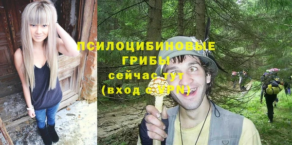 гашик Алексин