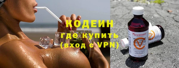гашик Алексин