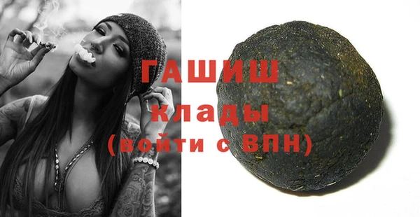 гашик Алексин
