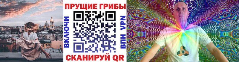 Псилоцибиновые грибы Magic Shrooms  Каргат 
